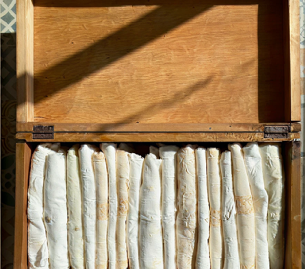 Renklerin Sessiz Uyumu